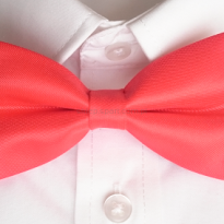 muszka kelnerska, damska, męska
podwójna czerwona