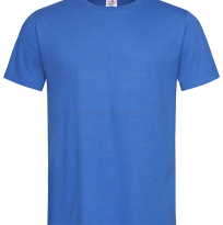 Koszulka, t-shirt męski, ST2000, niebieski królewski, Bright Royal