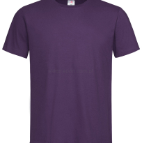 Koszulka, t-shirt męski, ST2000, Ciemny fioletowy, Deep Berry