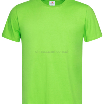 Koszulka, t-shirt męski, ST2000, jasny zielony, Kiwi Green