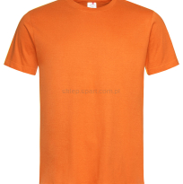 Koszulka, t-shirt męski, ST2000, pomarańczowy, Orange