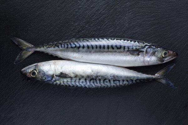 Poissonnier - kucharz niebanalny!