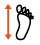 długość stopy